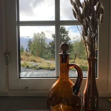 别墅 Spacious Mountain Lodge Stryn 史特林