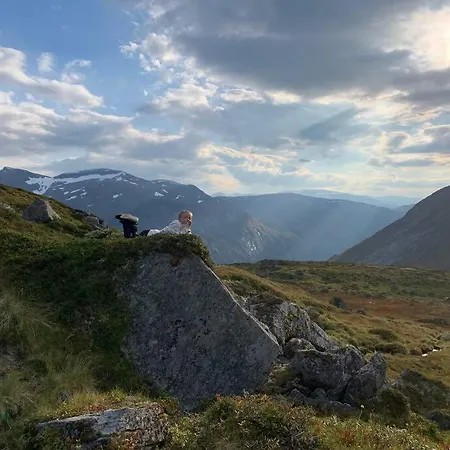 别墅 Spacious Mountain Lodge Stryn 史特林