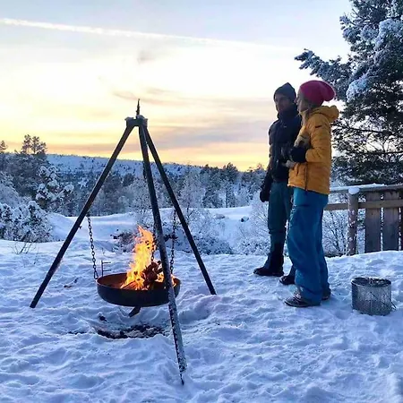 别墅 Spacious Mountain Lodge Stryn 史特林