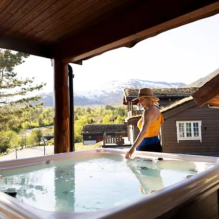 Spacious Mountain Lodge Stryn 别墅 *