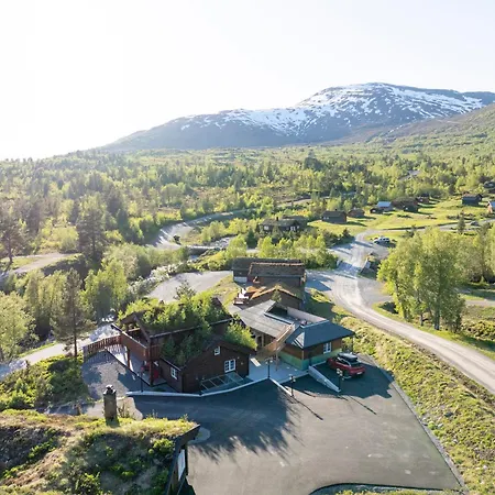 Spacious Mountain Lodge Stryn Villa *